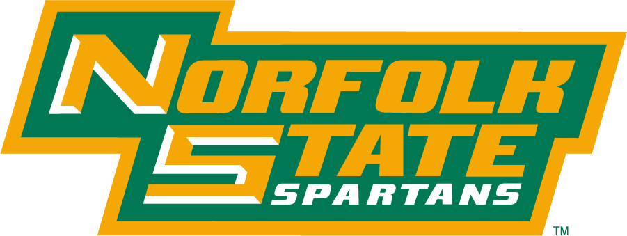 Norfolk State Spartans 1999-Pres Wordmark Logo v2 t shirts iron on transfers